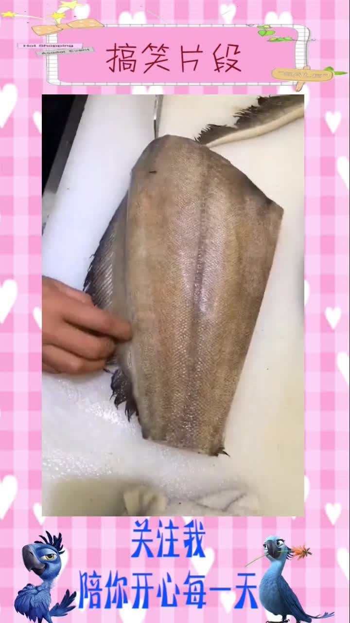 扁鳕鱼,又叫碟鱼,大家有喜欢吃这个鱼的吗,搞笑视频