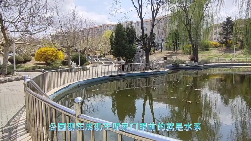 辽宁省鲅鱼圈开发,位于北城核心地段的房子