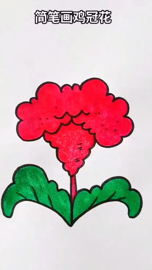 简笔画鸡冠子