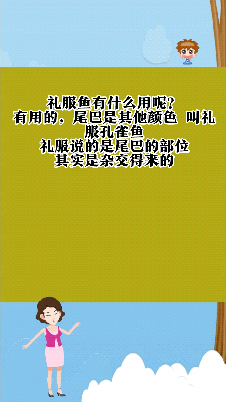 礼服鱼有什么用呢?
