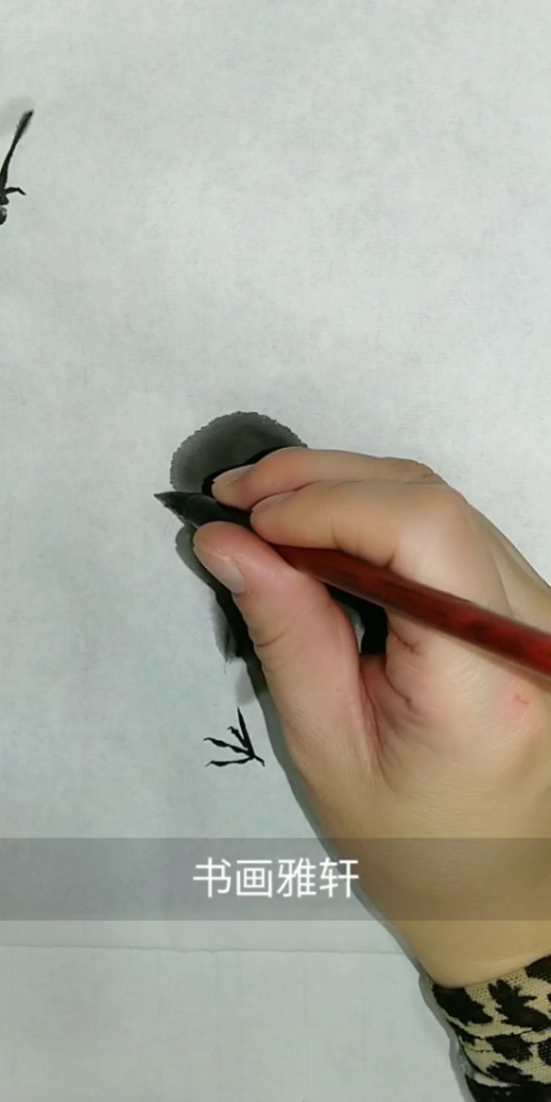 #中国画#这只小鸡与众不同祝大家早安吉祥!