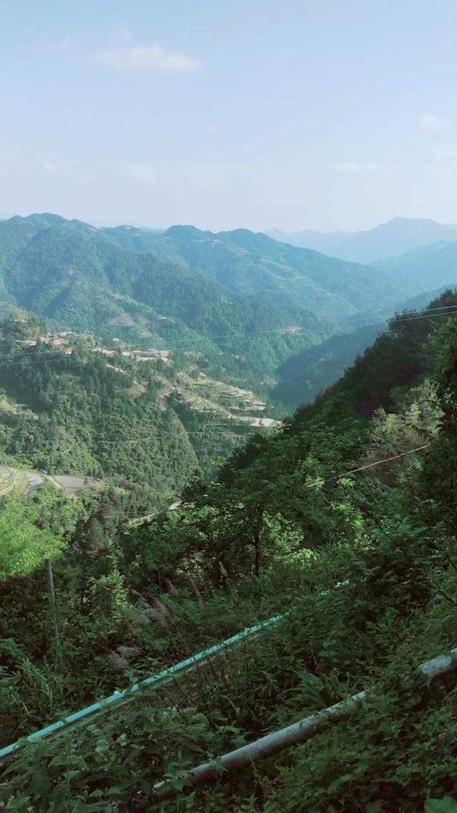 城里的同学带她的10个朋友,吃了我家10只鸡,10斤田鱼,10斤腊肉,说了句下次再来,拍拍