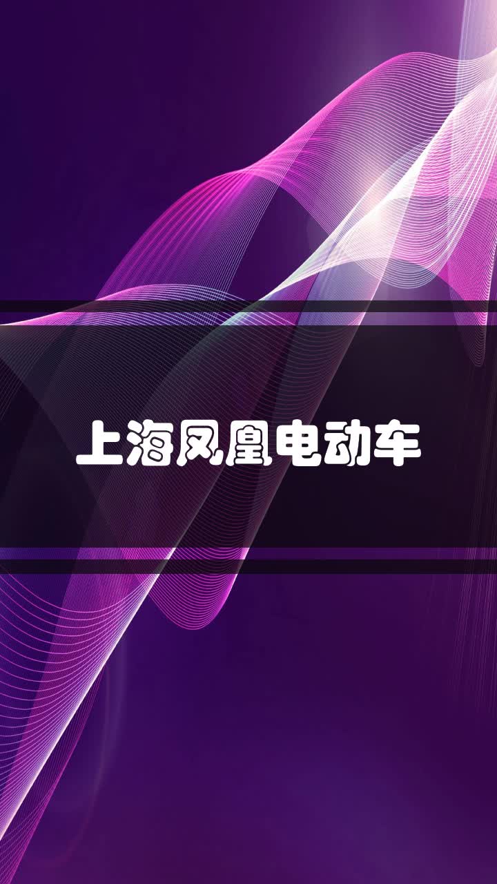 上海凤凰电动车