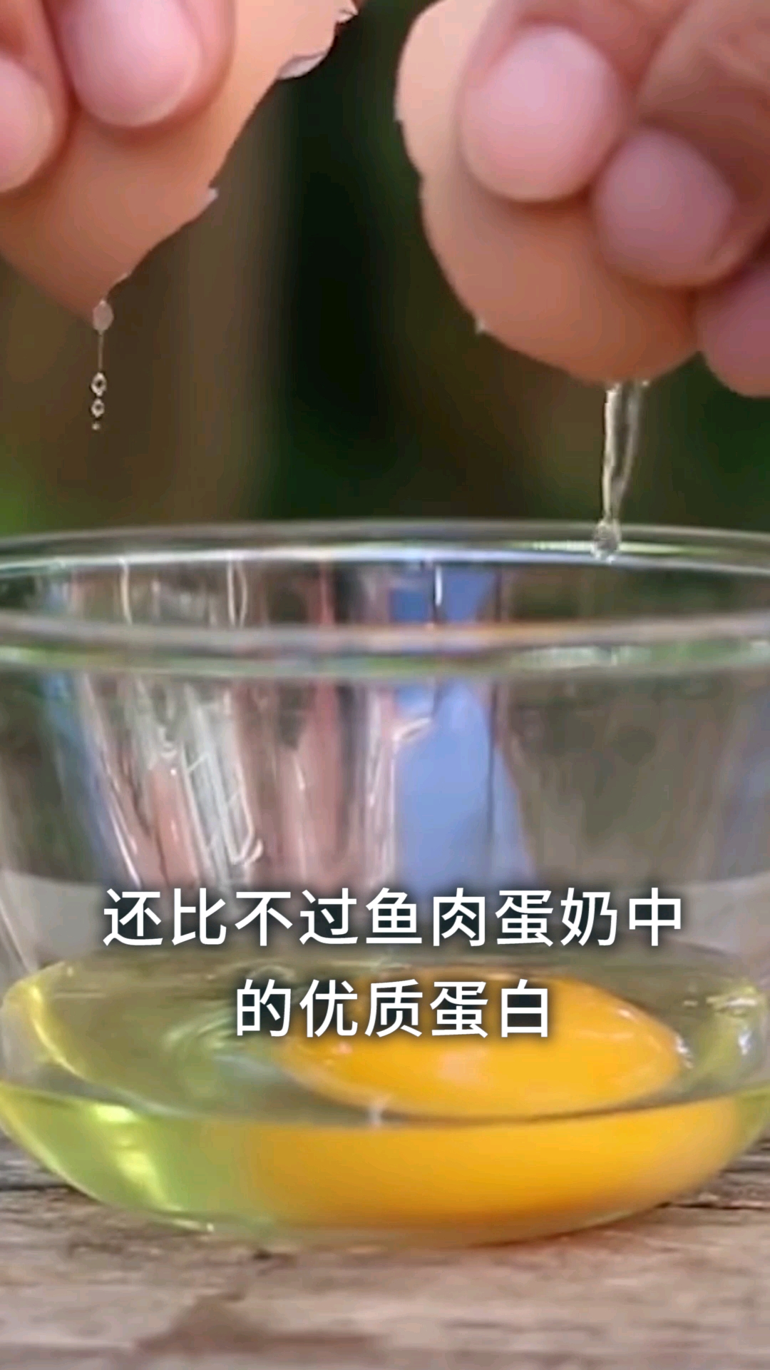 鱼翅的营养价值,还不如鸡蛋中优质蛋白,那么鱼翅为什么这么贵?