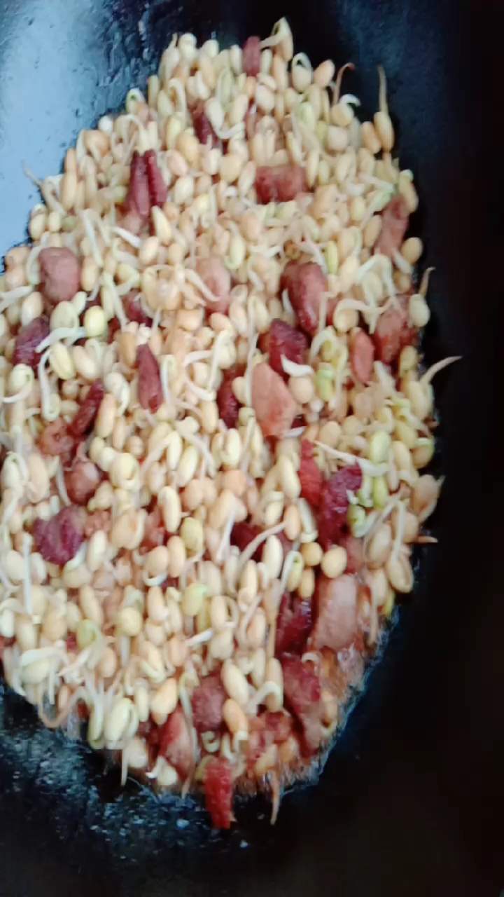 家常小炒,肉丁黄豆芽,好吃,营养,下饭