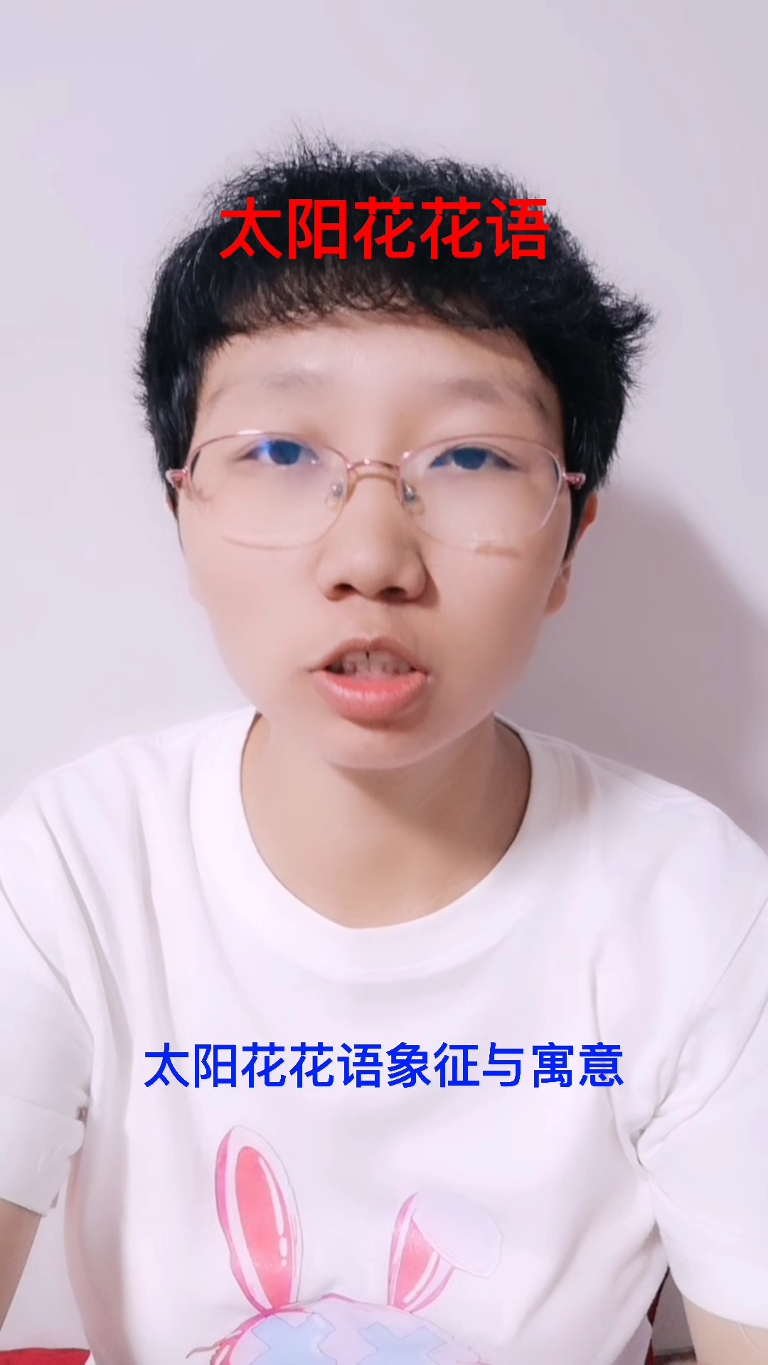 太阳花花语象征与寓意