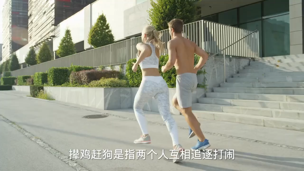 撵鸡赶狗是什么意思