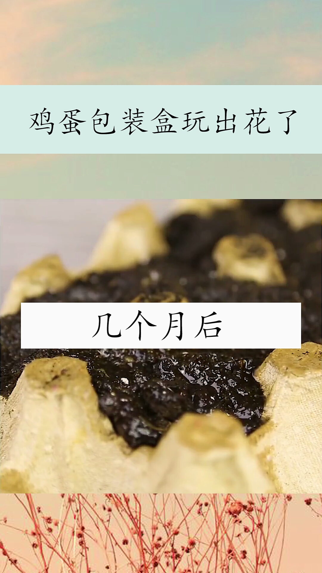 真的玩出花来了。
