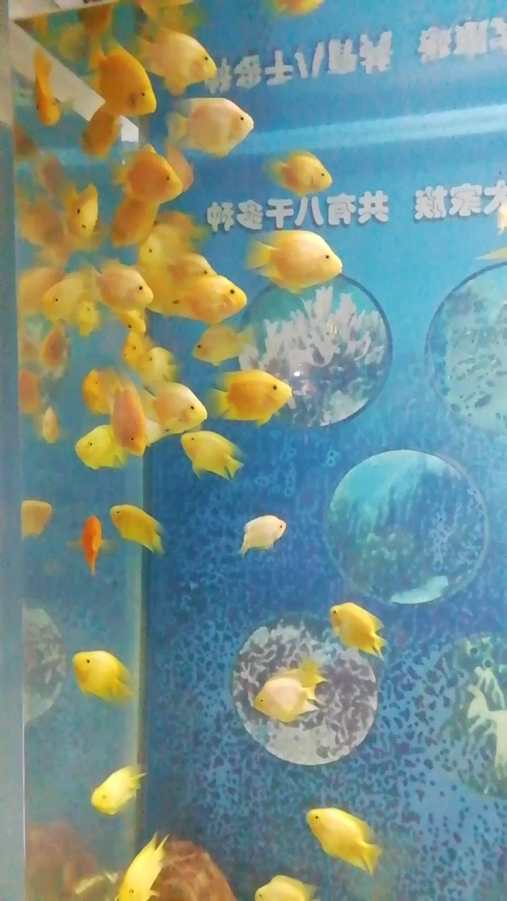海洋世界