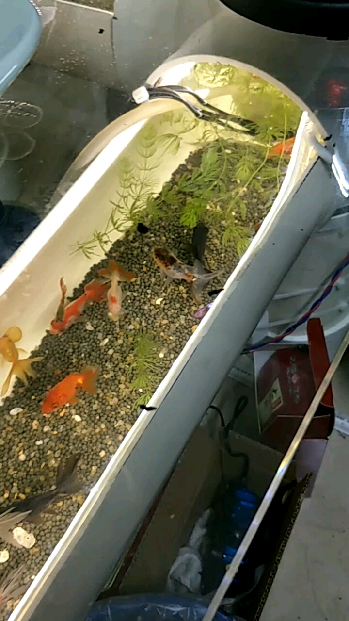 自制茶几鱼缸