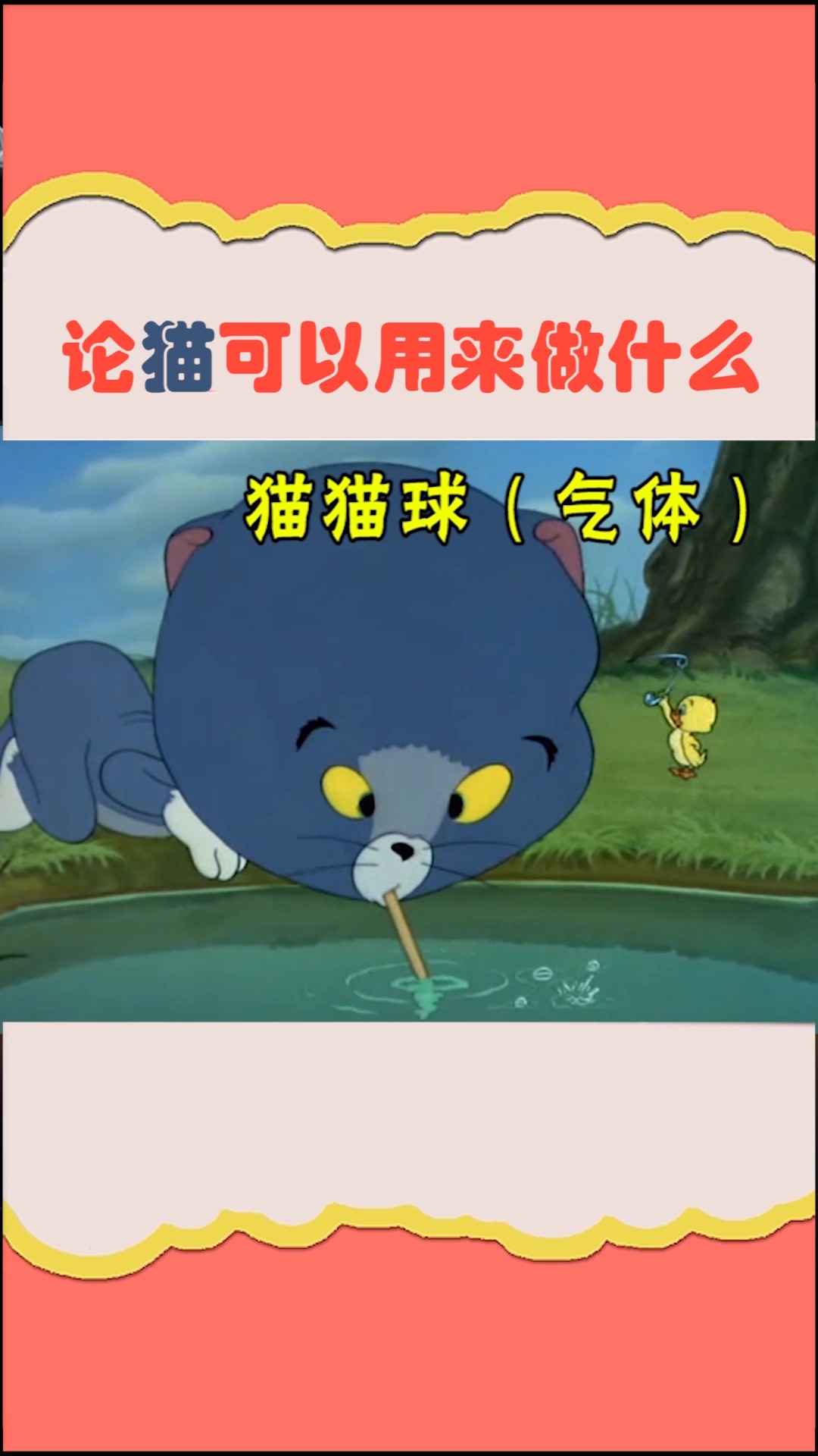 #搞笑视频#从小我就想养只和老鼠同款汤姆猫,比机器猫还多变...