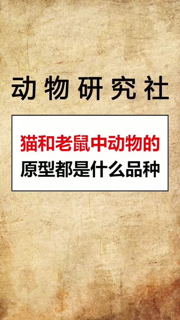 猫和老鼠在现实中原型都是什么样呢?
