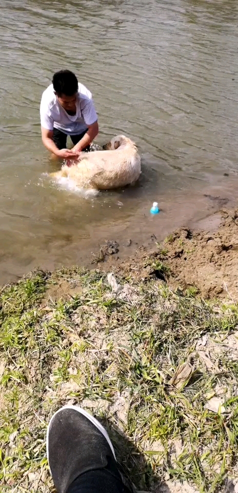 大河洗澡澡爽歪歪