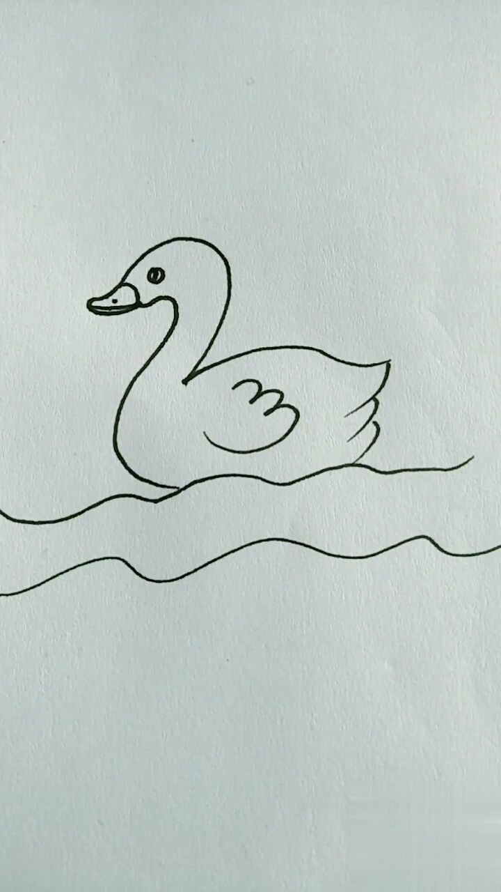 小鸭子简笔画