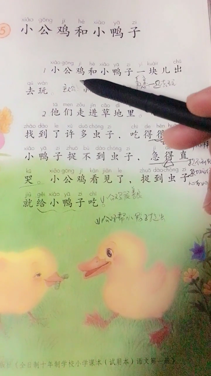 一年级宝宝学习小公鸡和小鸭子1