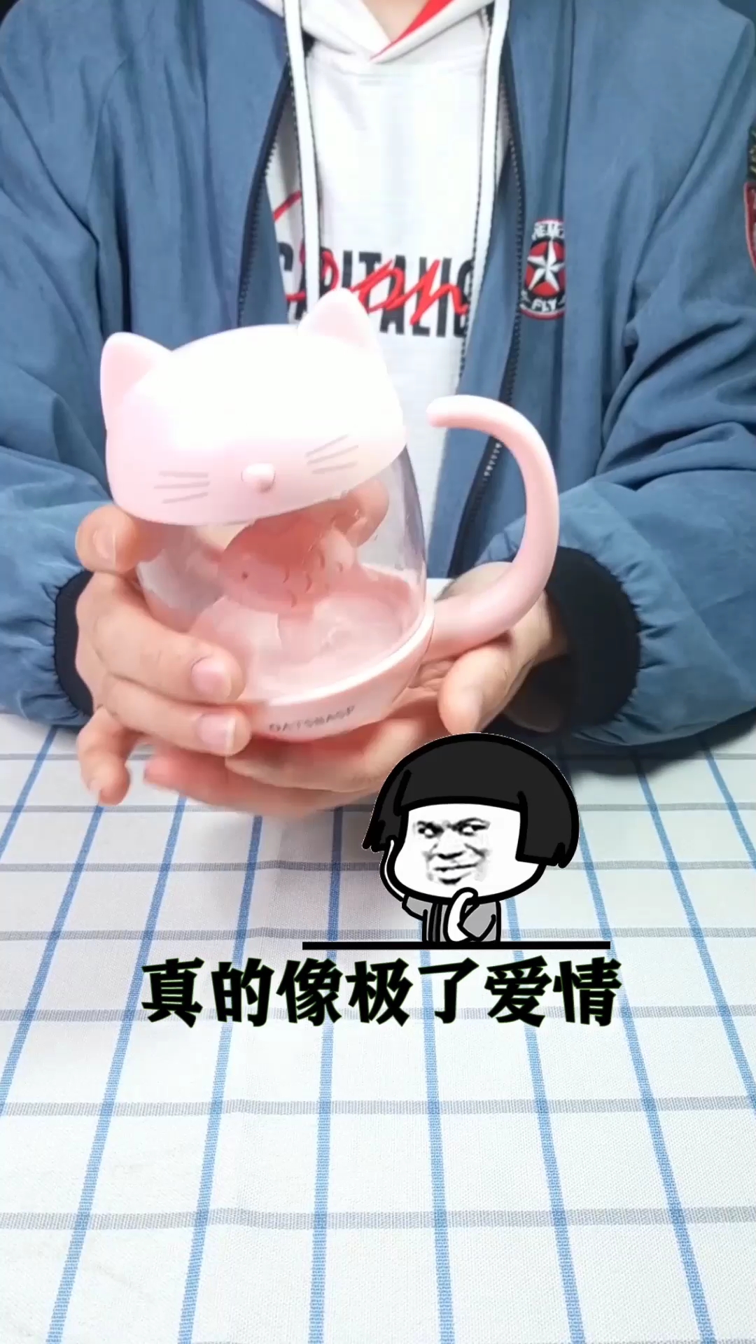 猫爱上鱼加湿器的爱情故事