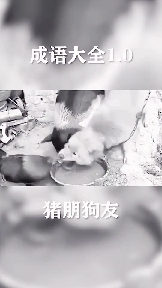 你们要的成语大全来啦路过帮我点个心好不好搞笑搞笑配音成语