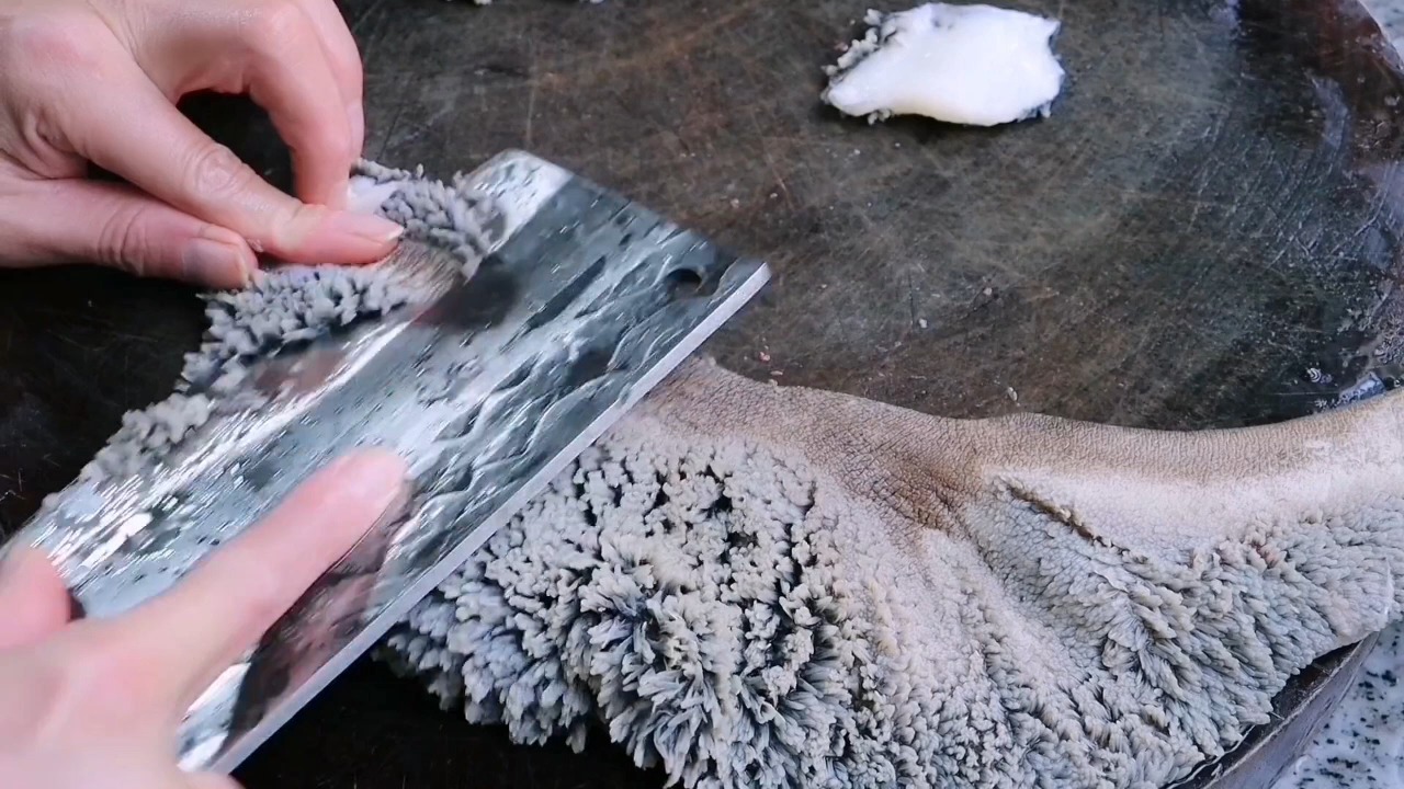 #美食#用鹅肠，毛肚等等打火锅！2种锅底随意切换，爽脆弹牙，痛快！