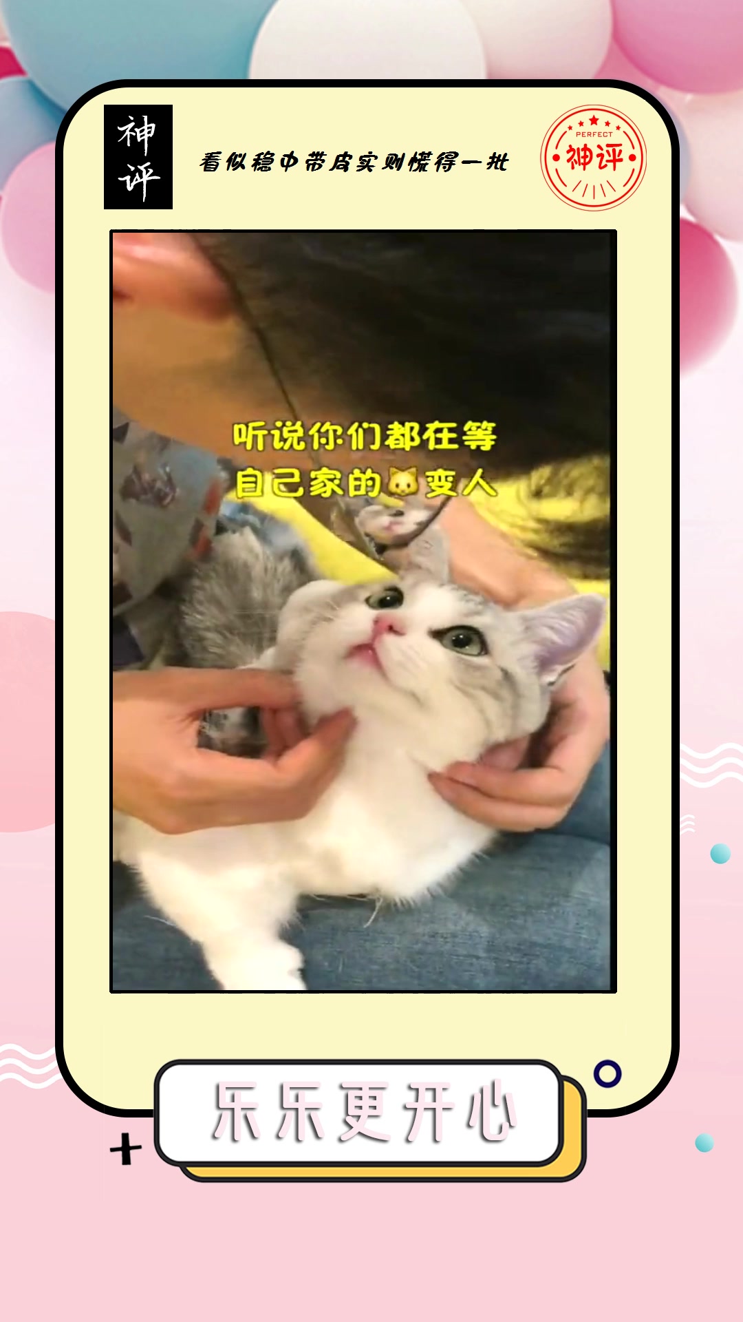 #我要上热门#说出来你可能不信,猫主子居然真的可以变人,场面一度非常真实!