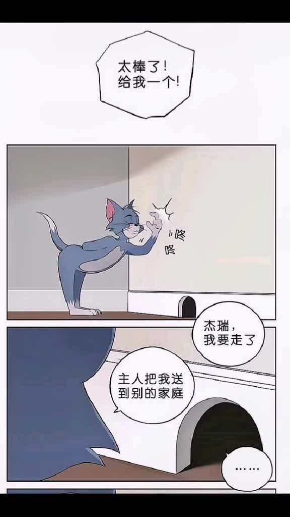 猫和老鼠搬运工图片来源于微博阿闷