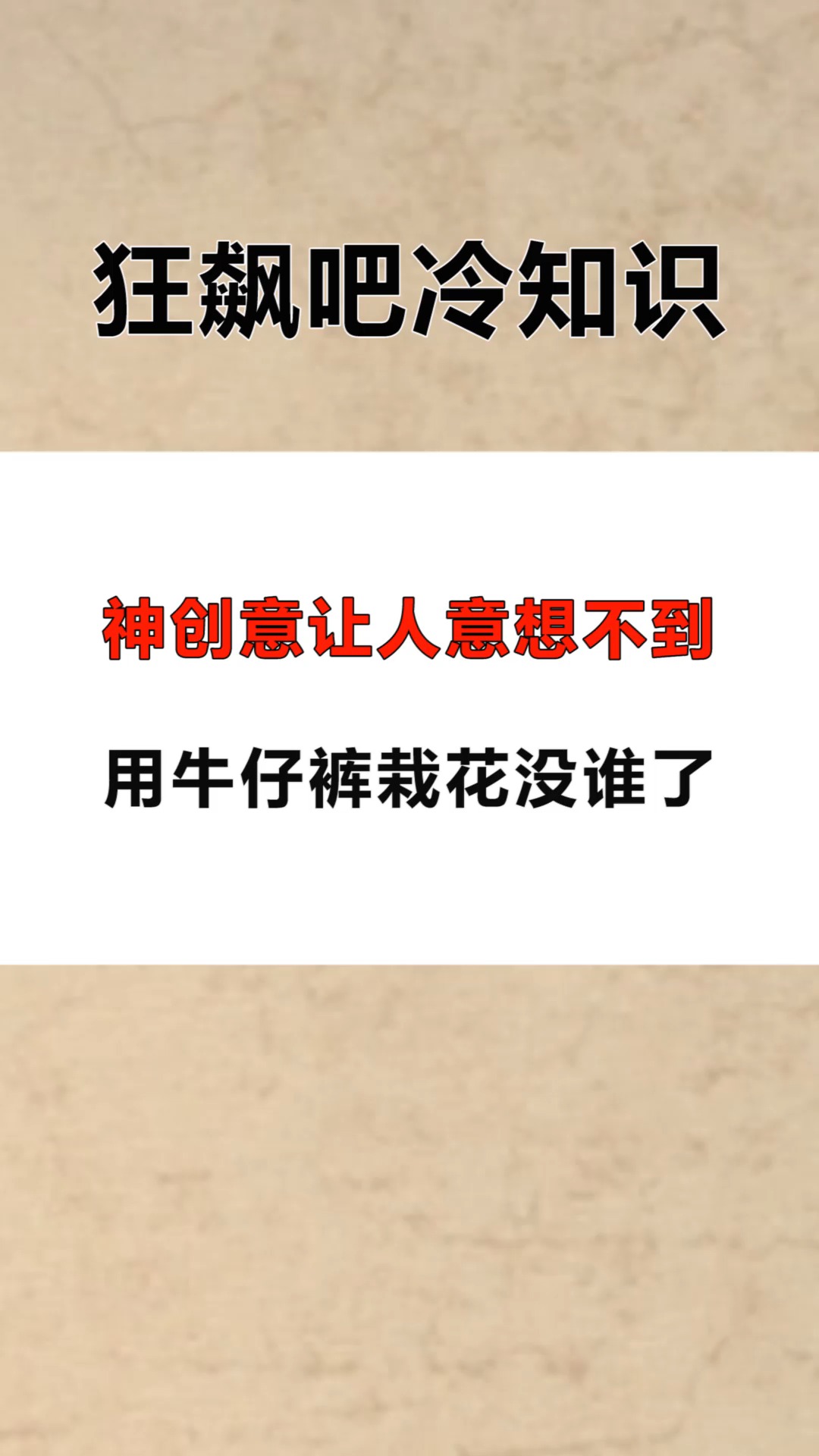 #每天一点冷知识#神创意让人意想不到,用牛仔裤栽花没谁了。