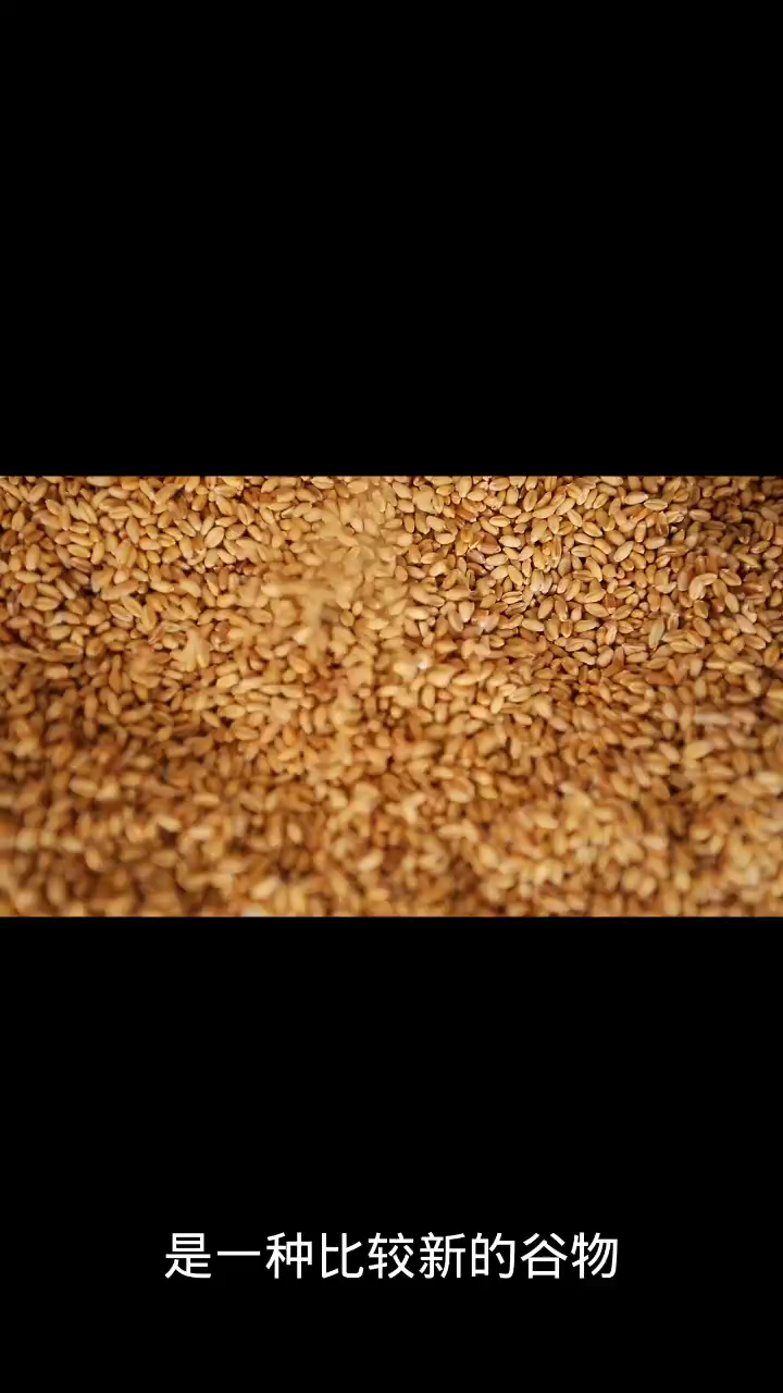 裸麦是什么农作物