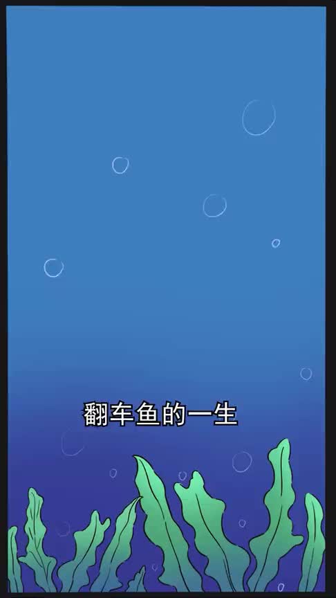 翻车鱼号称鱼届的“玻璃心”,稍不注意就会“嗝屁”,现在还没灭绝也是奇迹