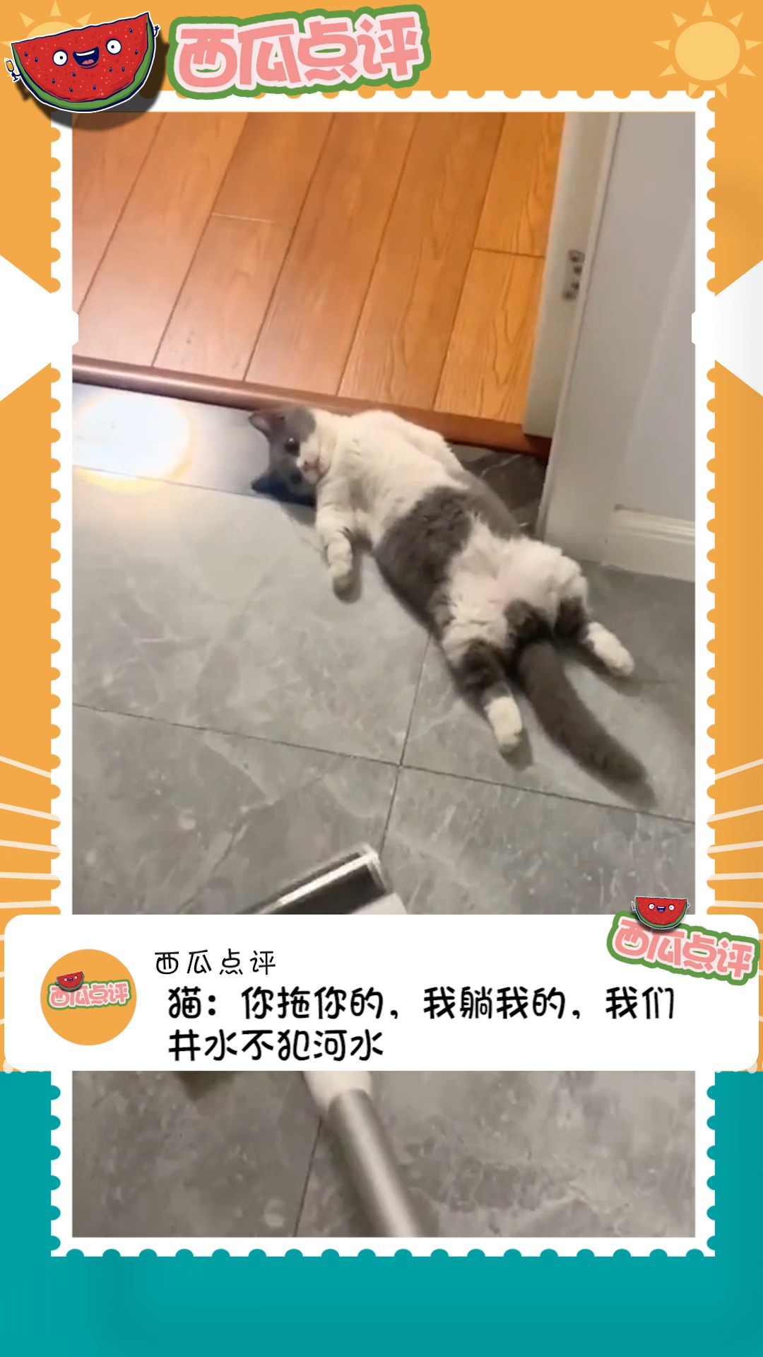 #我要上热门#这是一级保护动物吗