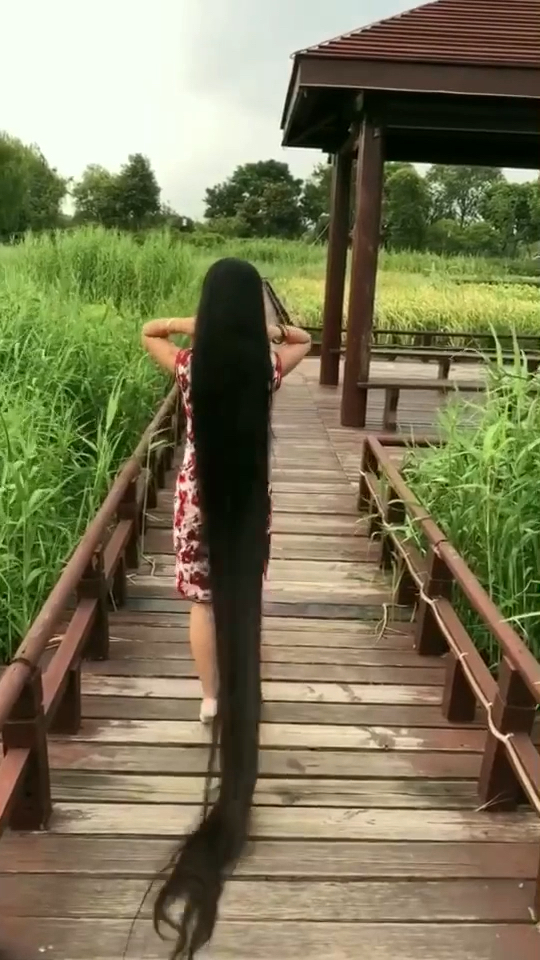 方法一:生姜、何首乌、油茶籽、侧柏、当归、积雪草这几种中草药,加入第二遍洗米水