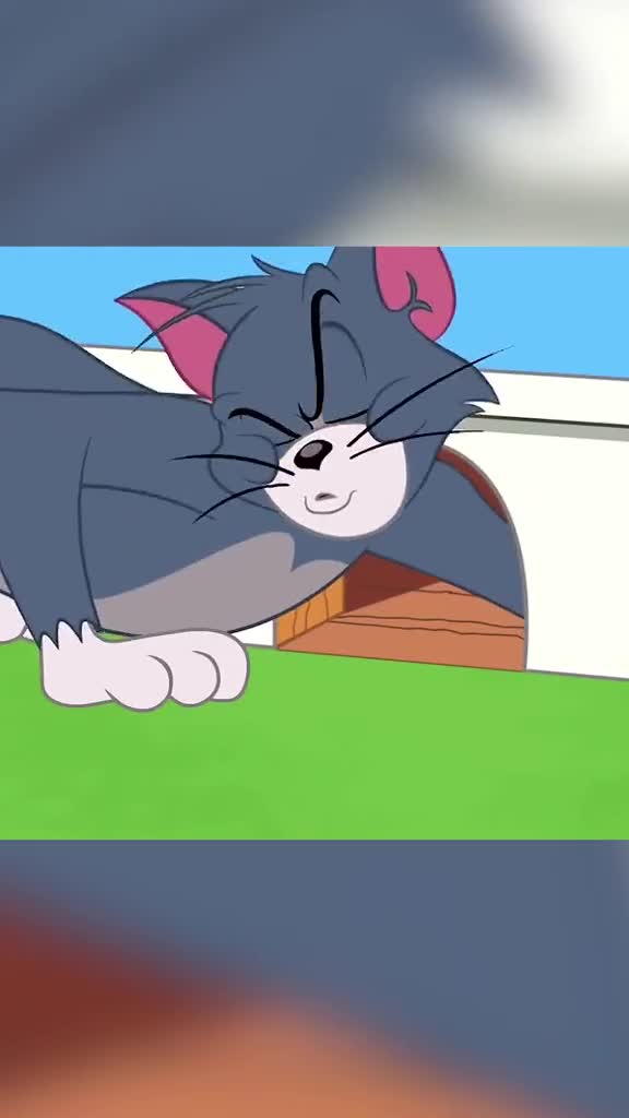 原来《猫和老鼠》的汤姆已经结婚有小孩了,看起来好可爱呀