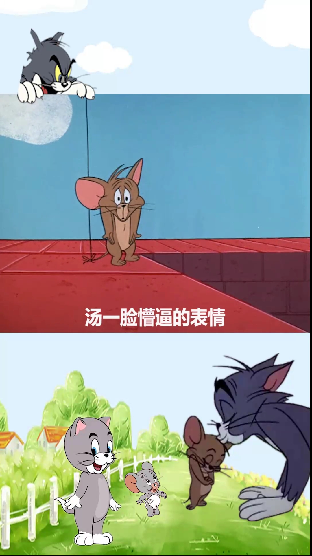 猫和老鼠方言配音:杰瑞的搞怪表情包上线了,请注意查收!