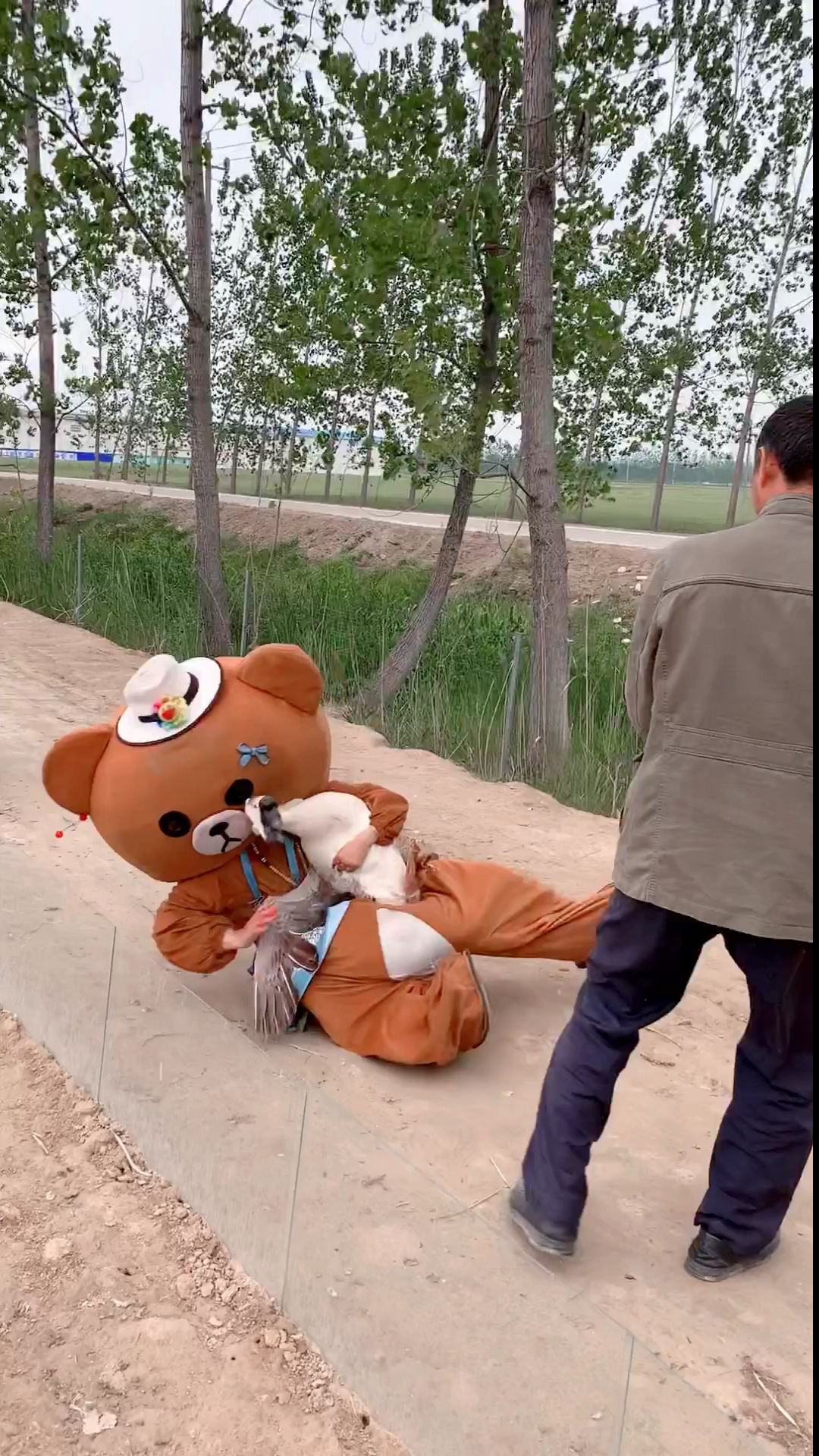 #搞笑段子剧#这个鹅好大呀？