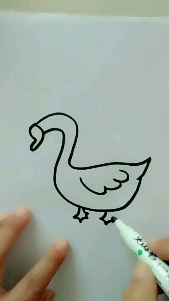 白鹅简笔画。