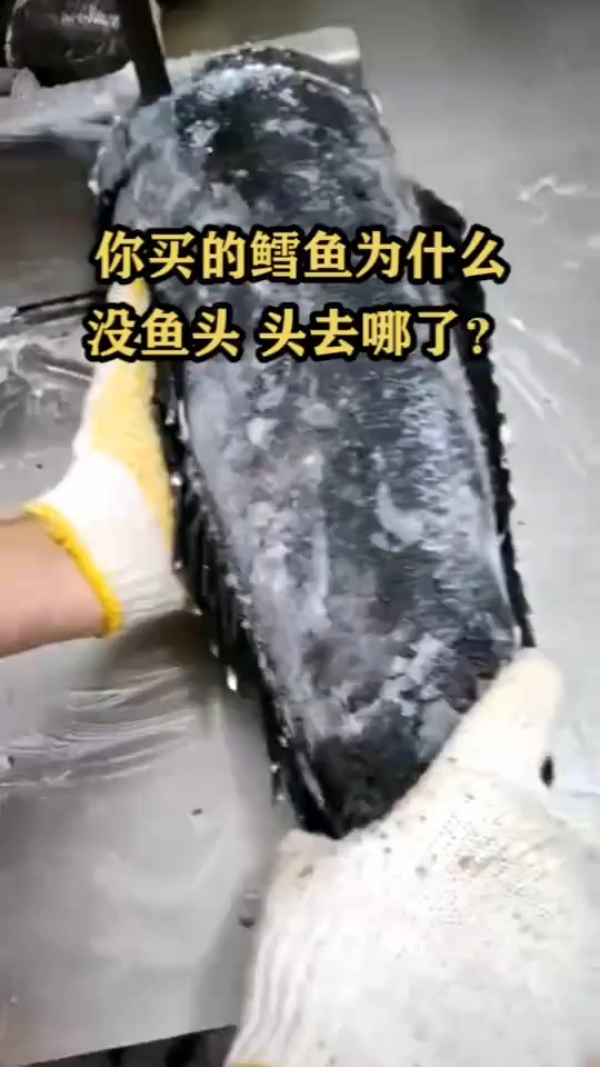 你买的鳕鱼为什么没鱼头,头去哪了?