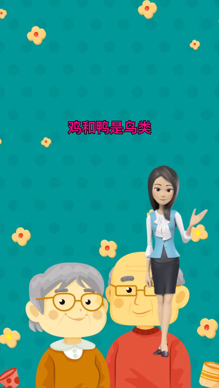 鸡鸭属于什么类动物