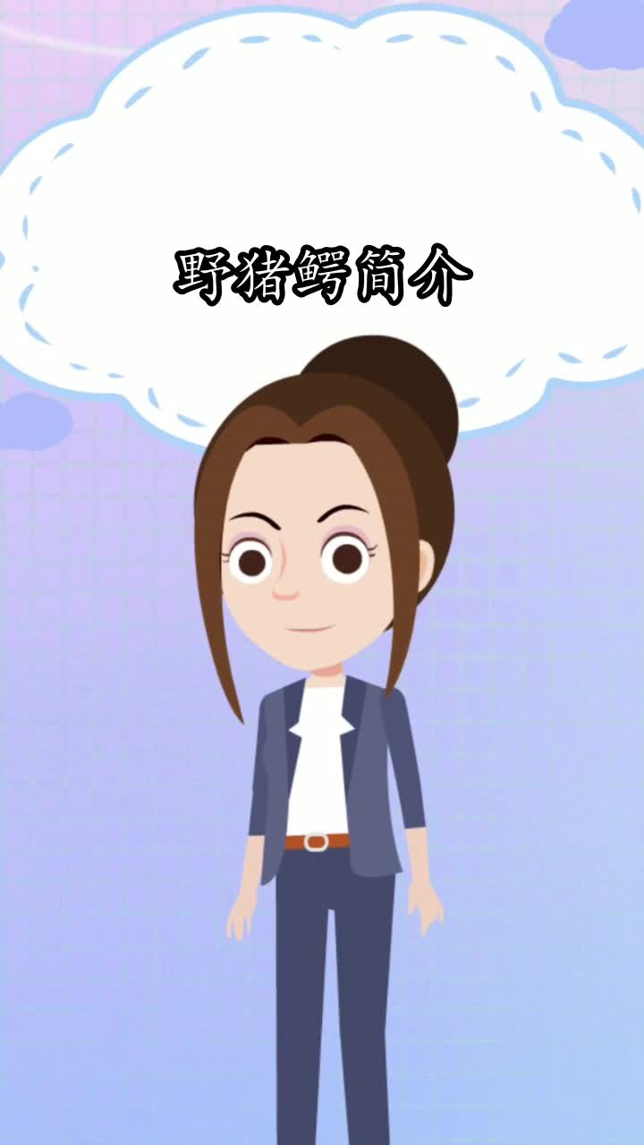 野猪鳄简介,你清楚了吗