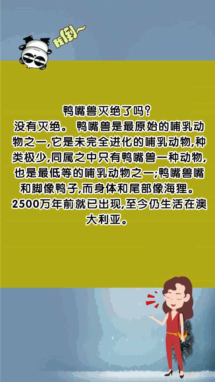 鸭嘴兽灭绝了吗?