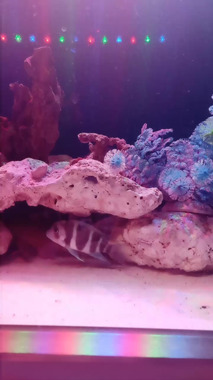 分享视频