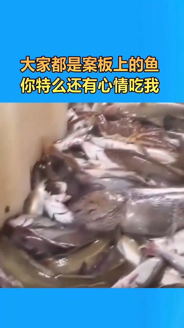 大家都是案板上的鱼,你还有心情吃我