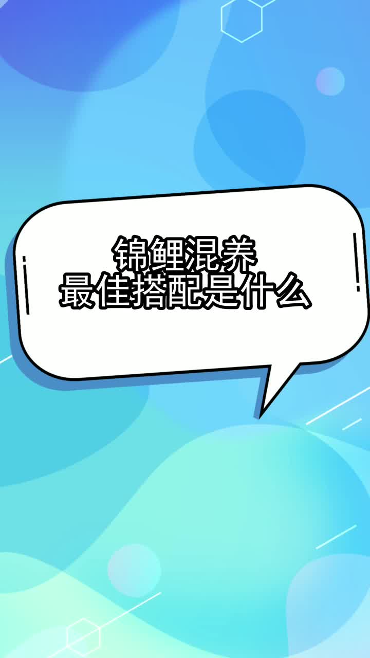 锦鲤混养最佳搭配是什么,你理解了吗
