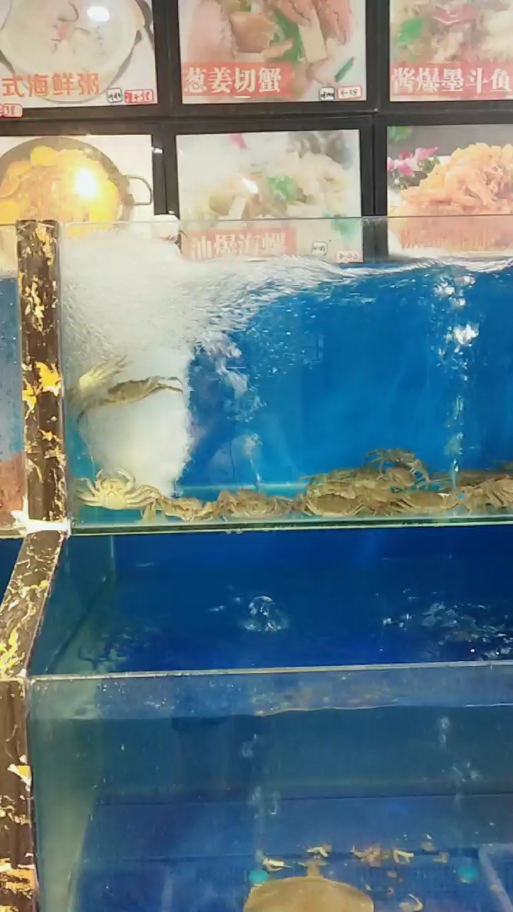 #加油高考#随波逐流 