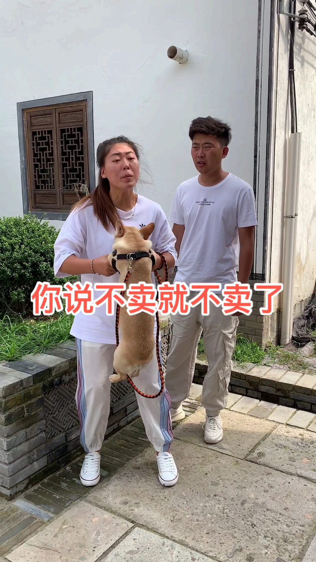 传递正能量,拒绝吃狗肉