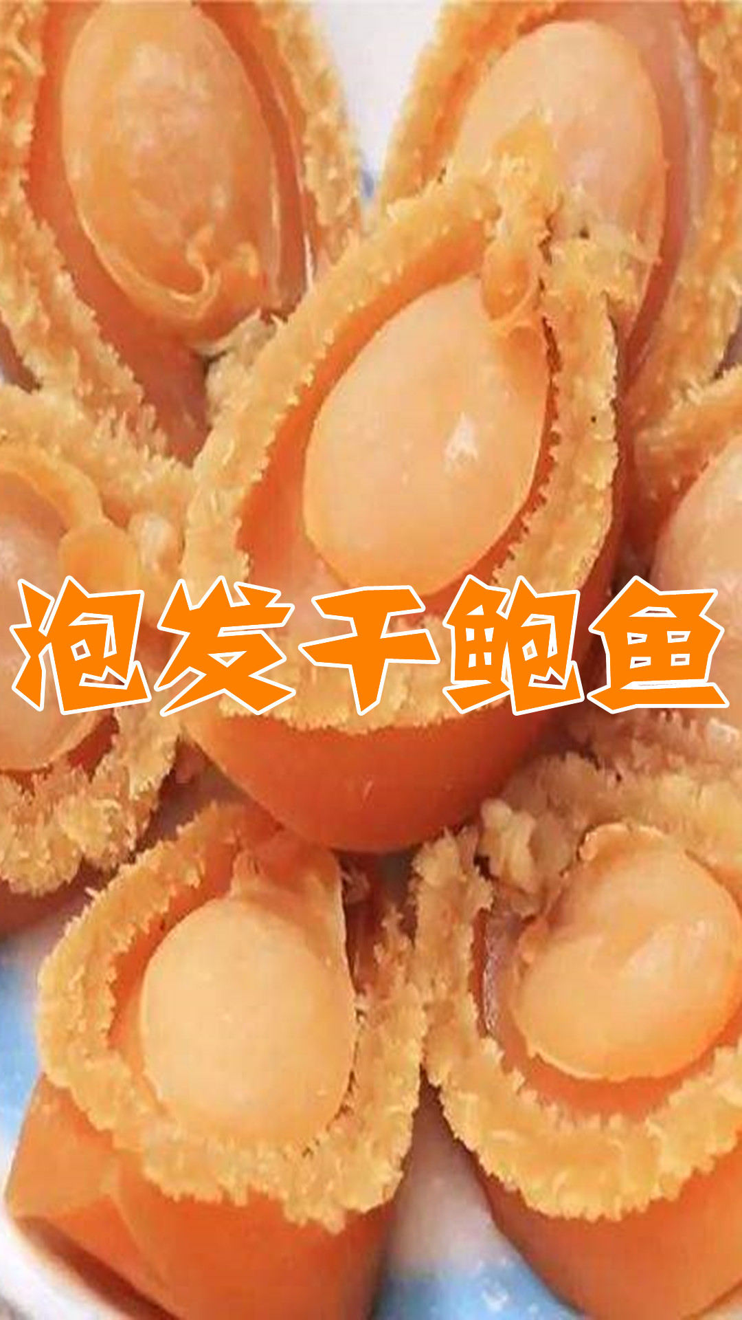 泡发干鲍鱼