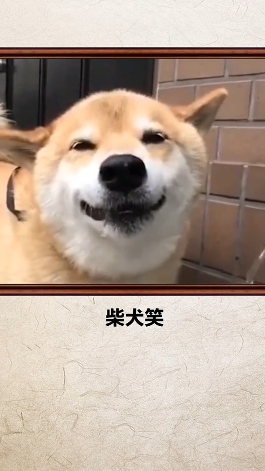 #奇闻趣事抢先看#你跟着笑了嘛?