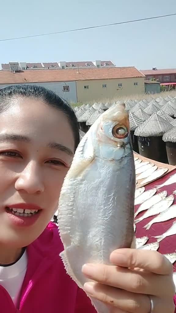 拍金发金,新鲜咸白鳞鱼,肉质细腻,味道鲜美,蒸煎炸特别好吃这也太好吃了好物推荐