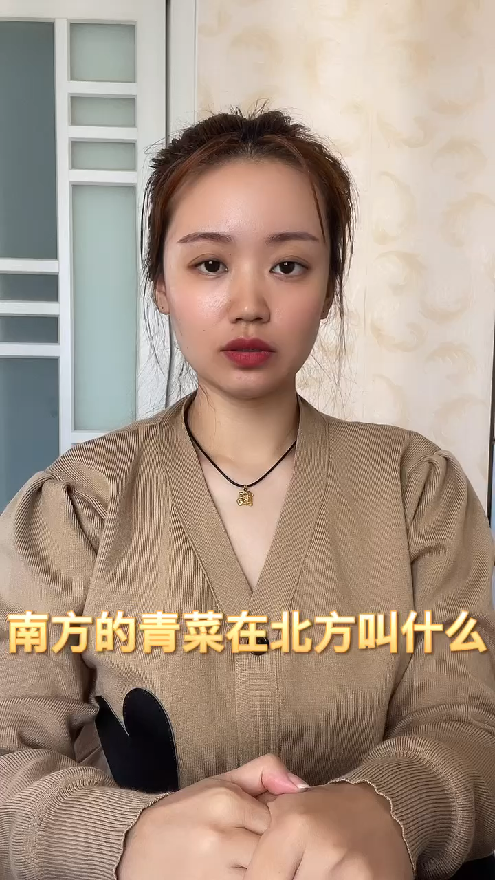 南方的青菜在北方叫什么