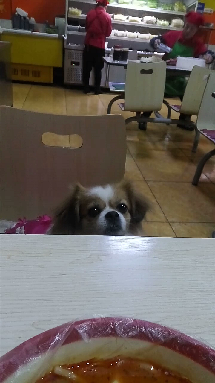 像个小人似的坐着等吃面呢