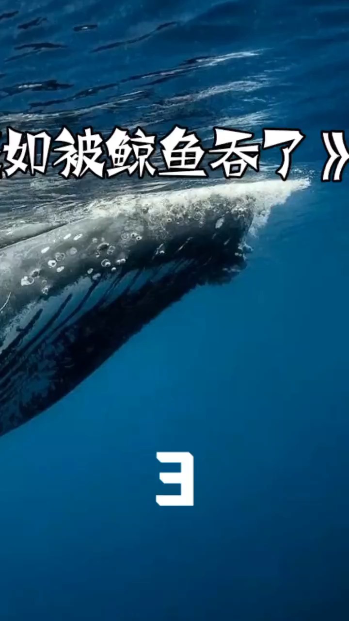 假如被鲸鱼吞了-下:保护环境,保护海洋,人人有责