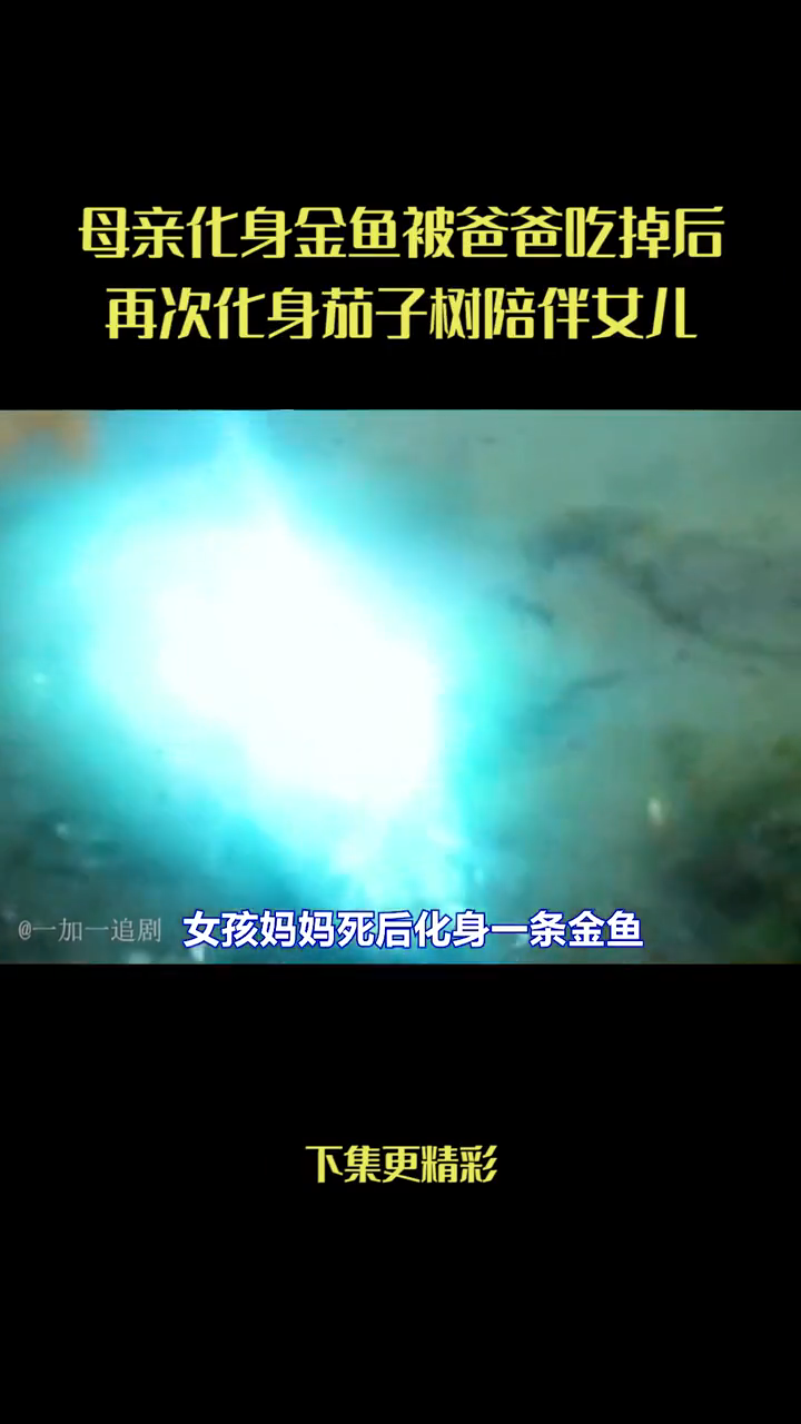 金鱼泰剧      