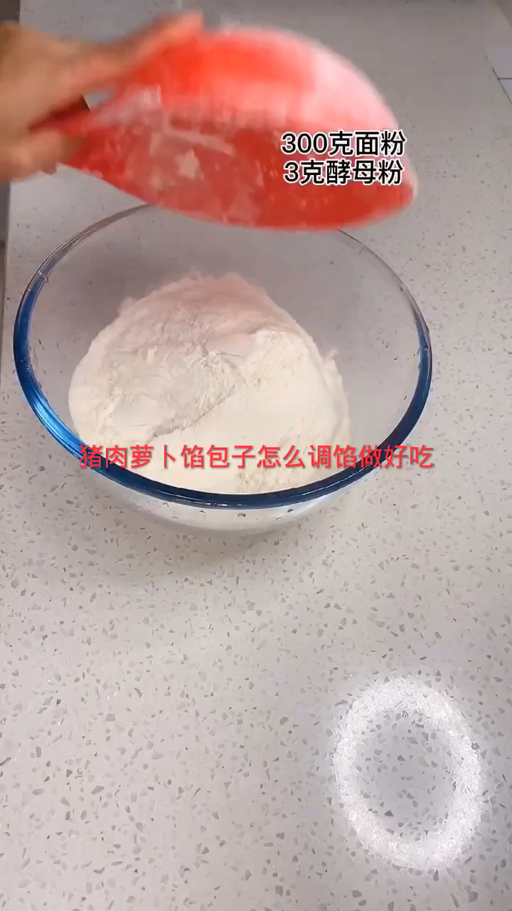 猪肉萝卜馅包子好吃的做法
